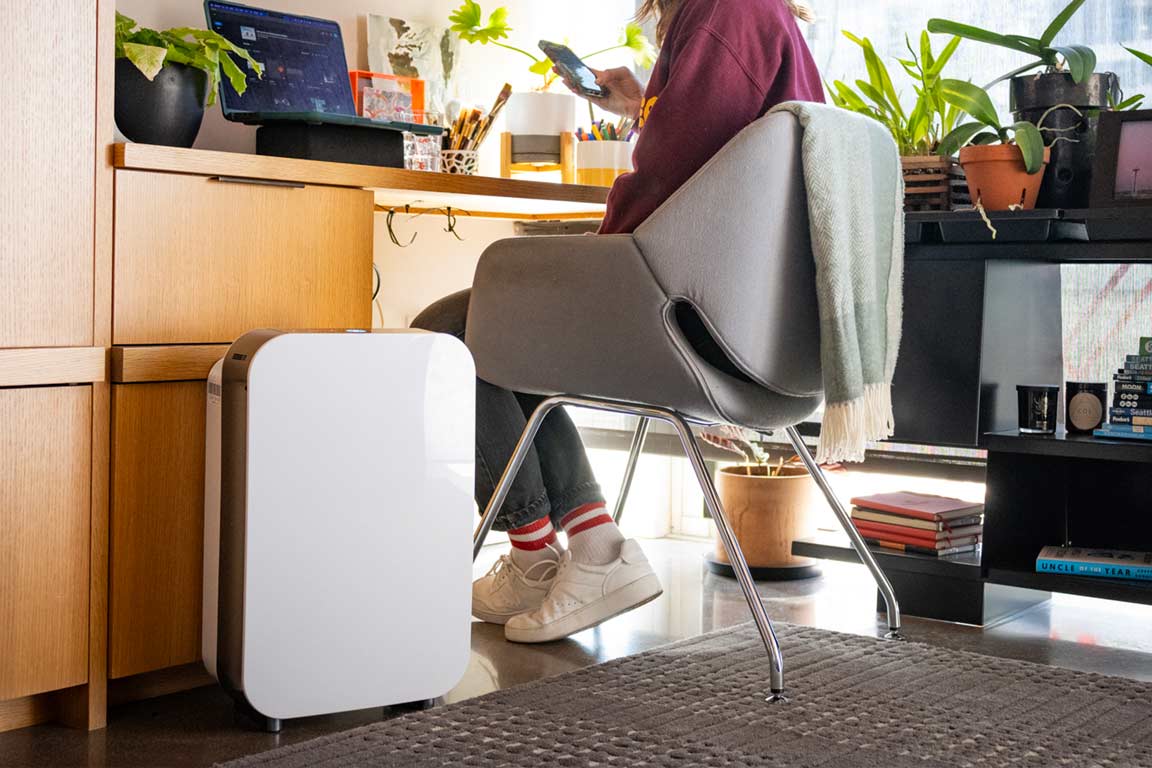 Zen Office Ideas: How to Design a Wellness-Focused Workspace