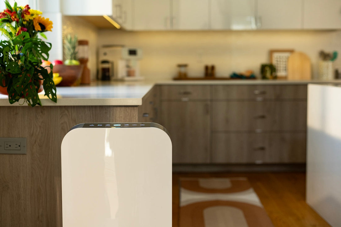 Do HEPA Filters Remove Mold?