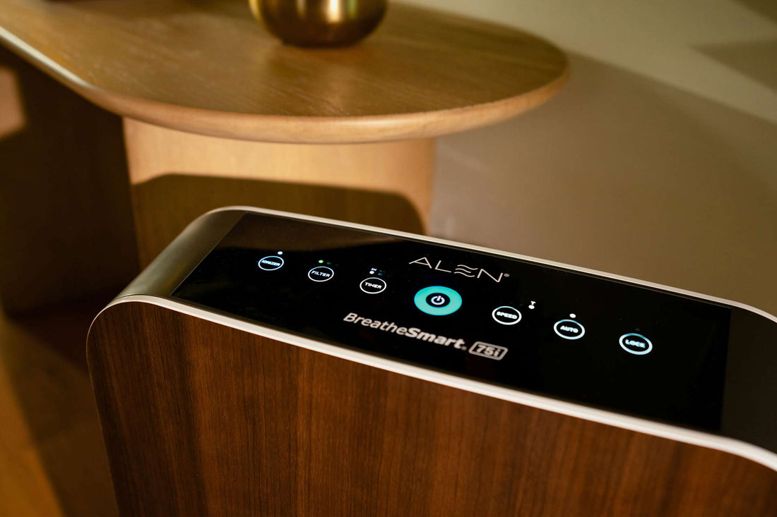 Hotel Air Quality: What You Should Know Before You Stay