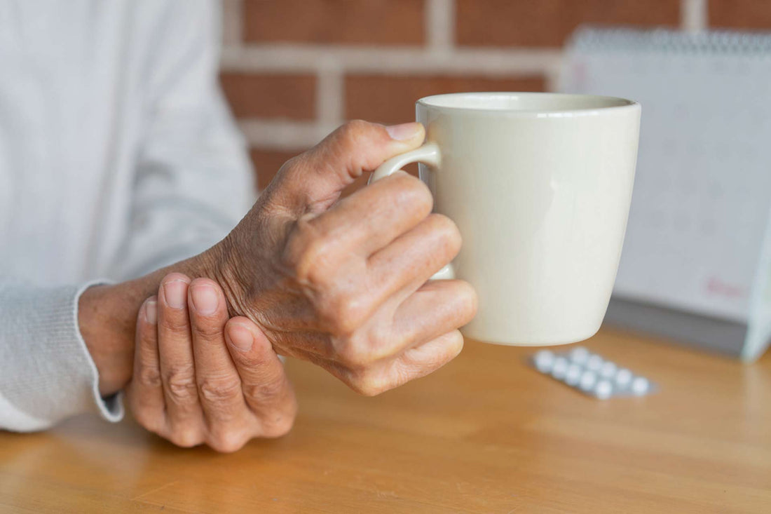 Air Pollution as a Key Environmental Factor in Parkinson's Disease