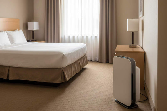 Designing Allergy-Friendly Hotel Rooms for Health-Conscious Guests