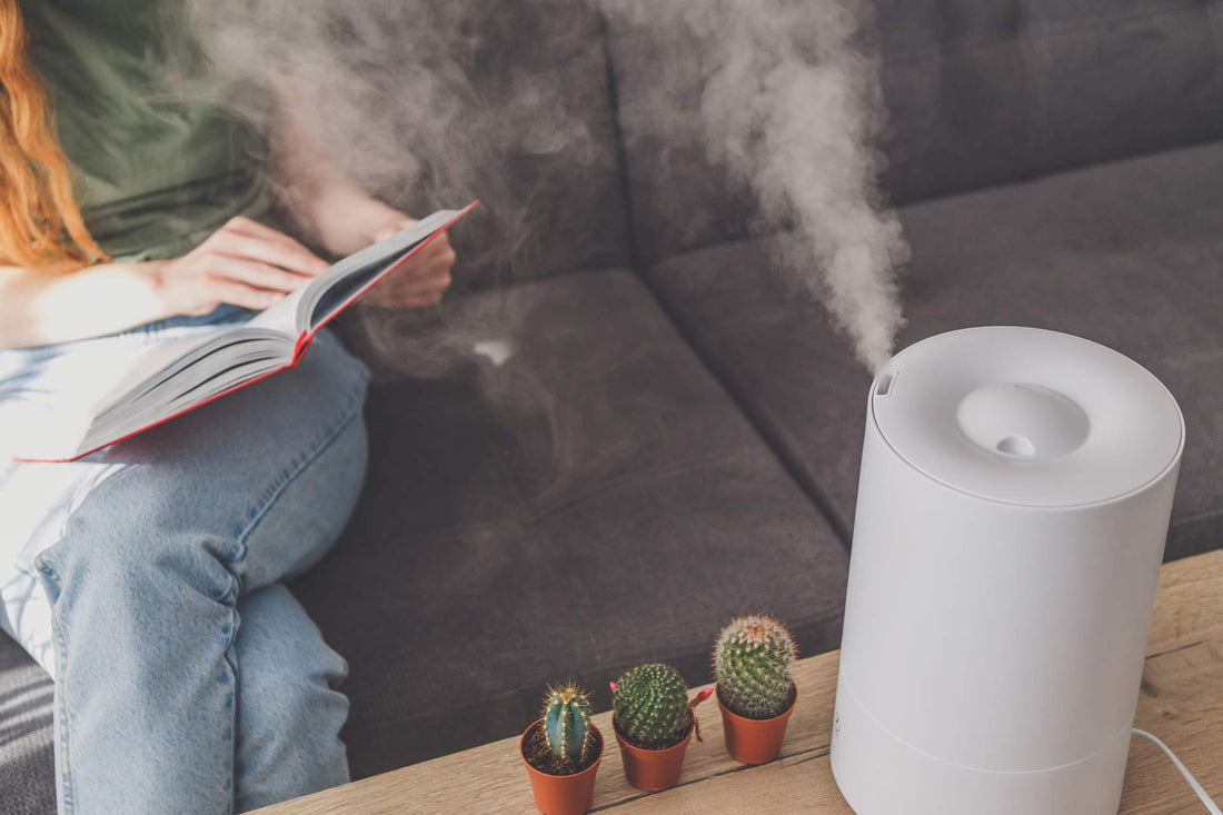 Does a Humidifier Help With Dust? Here’s What Science Says