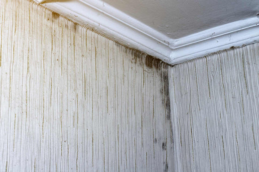 How to Get Rid of Musty Basement Smells: 10 Effective Ways