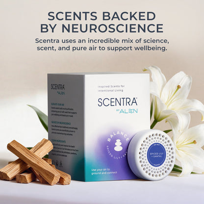 Spiced Lily + Santal Refill (3-Pack)