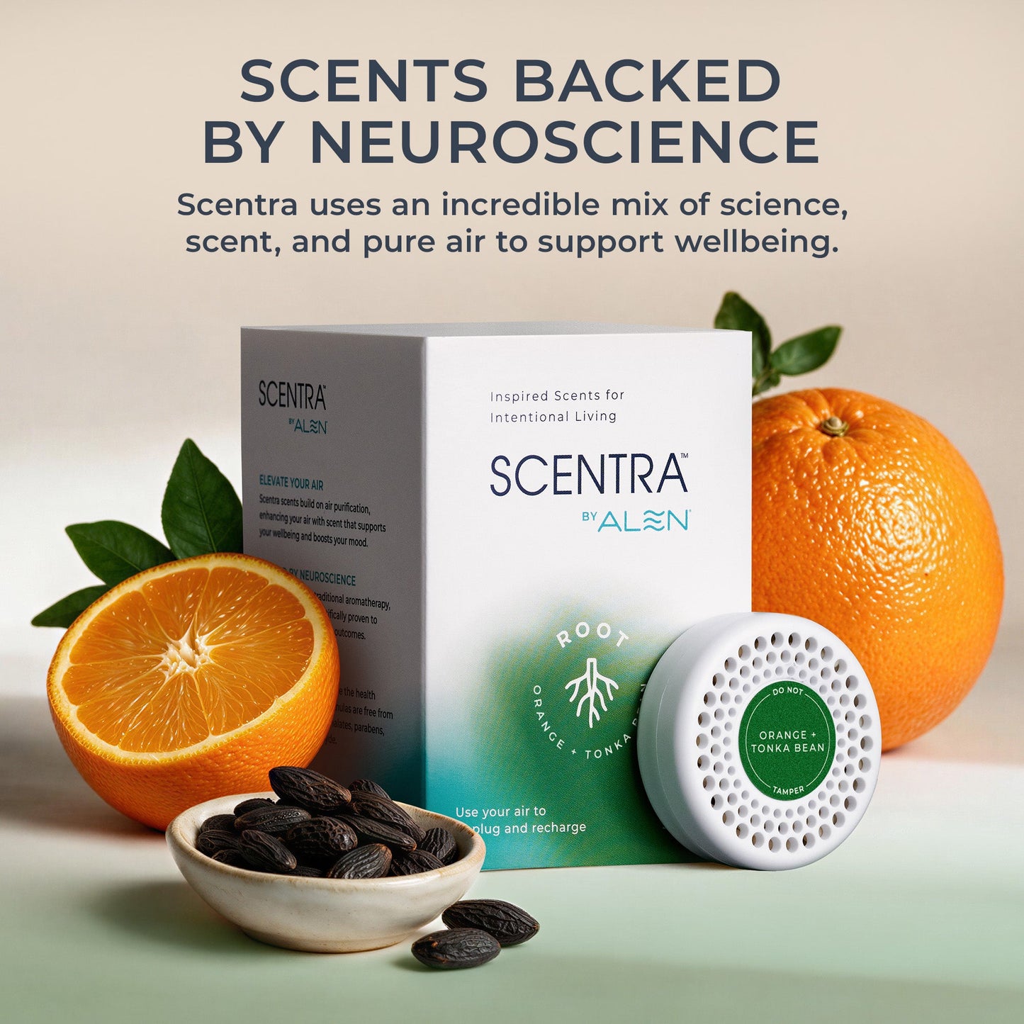 Orange + Tonka Bean Refill (3-Pack)