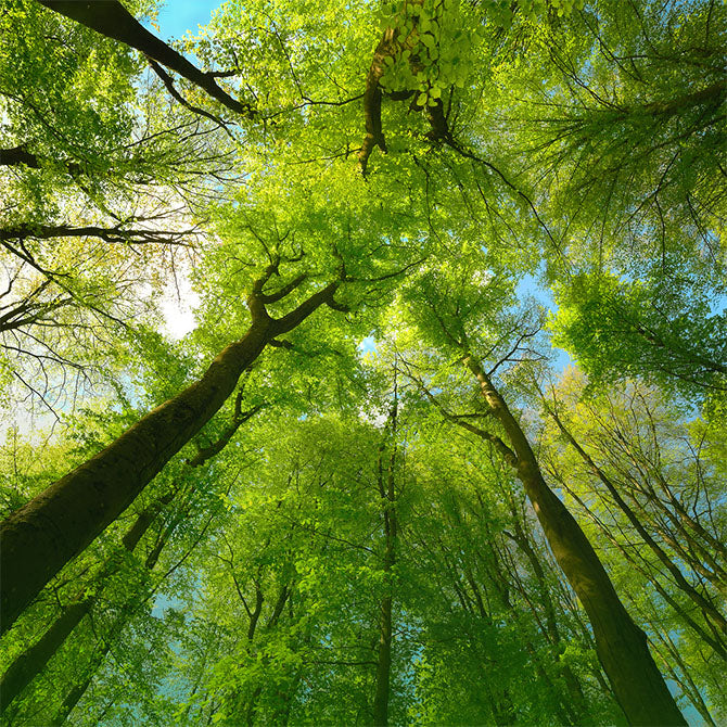 TOUCH GRASS WITH EVERY BREATH