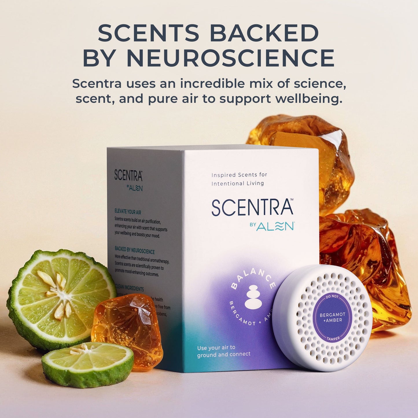 Bergamot + Amber Refill (3-pack)