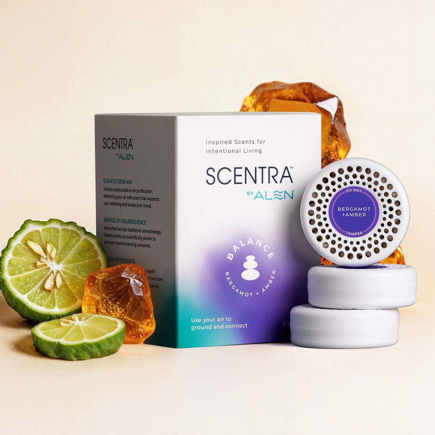 Bergamot + Amber Refill (3-pack)