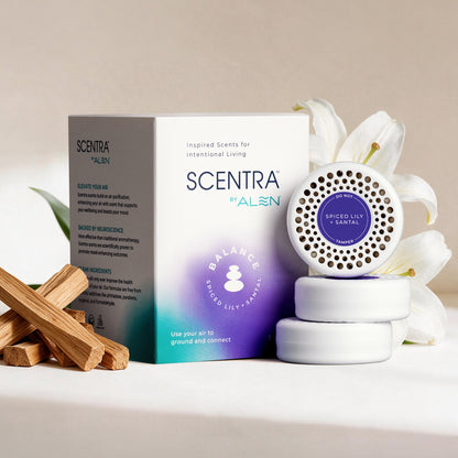 Spiced Lily + Santal Refill (3-Pack)