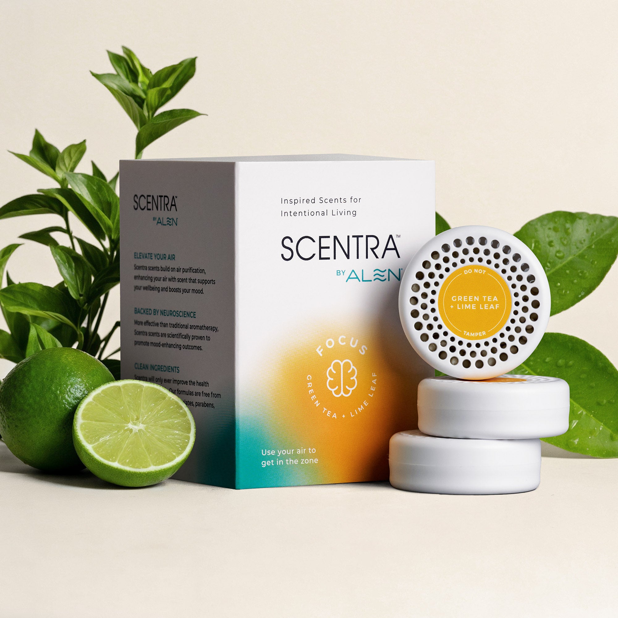 Green Tea + Lime Leaf Refill (3-pack)