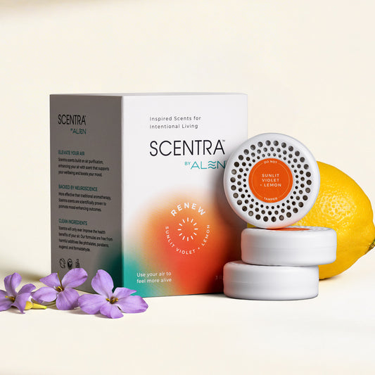 Sunlit Violet + Lemon Refill (3-pack)